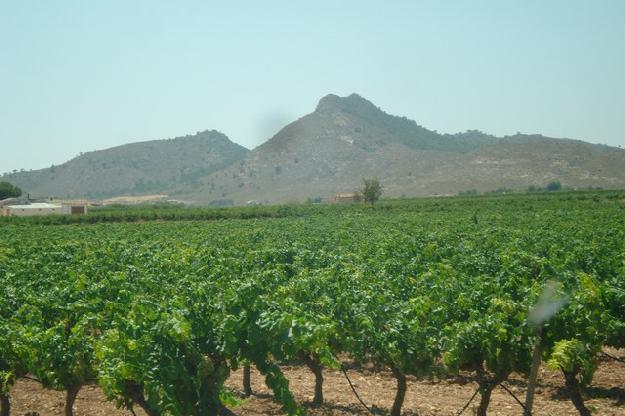 Finca/Casa Rural en venta en Yecla, Murcia (Costa Cálida)