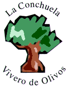 VIVEROS DE PALMERAS LACONCHUELA,, washingtonias, trachicarpus,