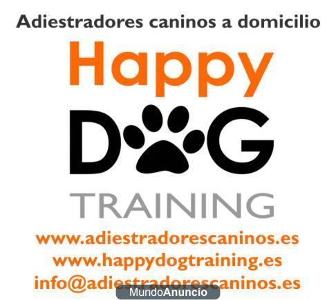 Adiestrador canino