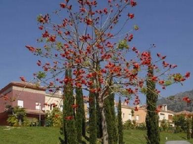 Apartamento con 3 dormitorios se vende en Benalmadena Costa, Costa del Sol