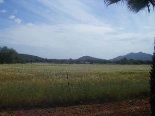 Terreno/Finca Rstica en venta en Felanitx, Mallorca (Balearic Islands)