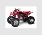 HONDA TRX 250 - mejor precio | unprecio.es