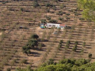 Finca/Casa Rural en venta en Gandesa, Tarragona (Costa Dorada)