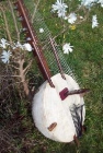 Kora venta sells vente kora compr buy acheter kora arpa harp harpe kora africa · kora 売却 - mejor precio | unprecio.es