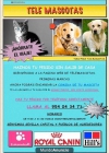 Alimentos y accesorios para su mascota sin salir de casa - mejor precio | unprecio.es