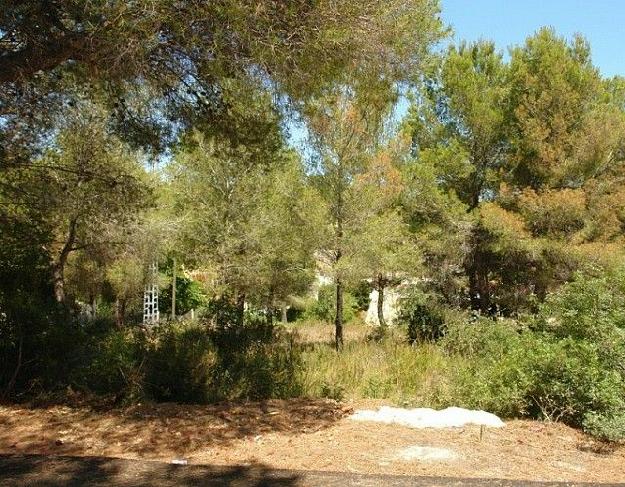 Terreno/Finca Rstica en venta en Moraira, Alicante (Costa Blanca)