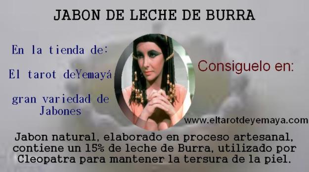 JABON DE LECHE DE BURRA / JABON AUTENTICO DE LECHE DE BURRA