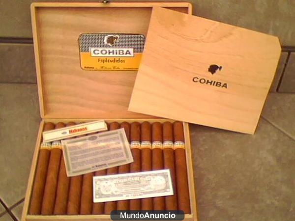 SE VENDEN COHIBAS ROBUSTOS Y ESPLENDIDOS