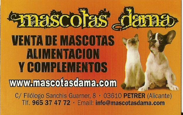 mascotasdama venta de mascotas , alimentacion y complementos.