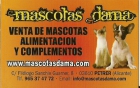 mascotasdama venta de mascotas , alimentacion y complementos. - mejor precio | unprecio.es