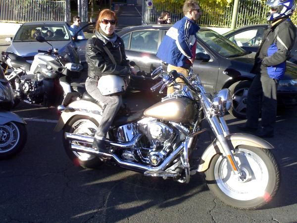 harley davidson