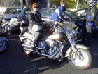 harley davidson - mejor precio | unprecio.es