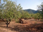 Finca/Casa Rural en venta en Restabal, Granada (Costa Tropical) - mejor precio | unprecio.es