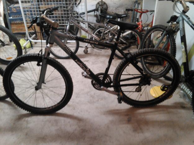 Bicicletas de montaña (procedentes de alquiler)
