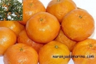 naranjas - mejor precio | unprecio.es