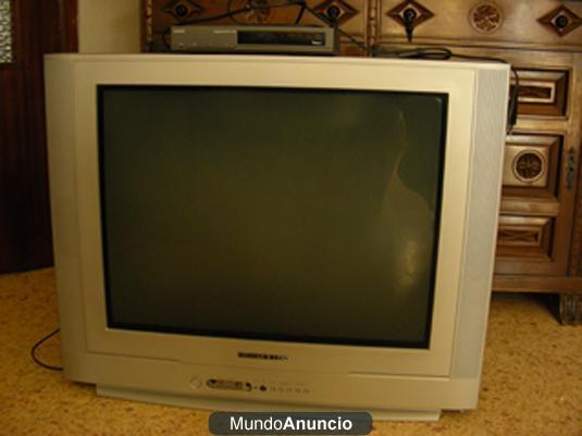 VENDO TV + aparato TDT