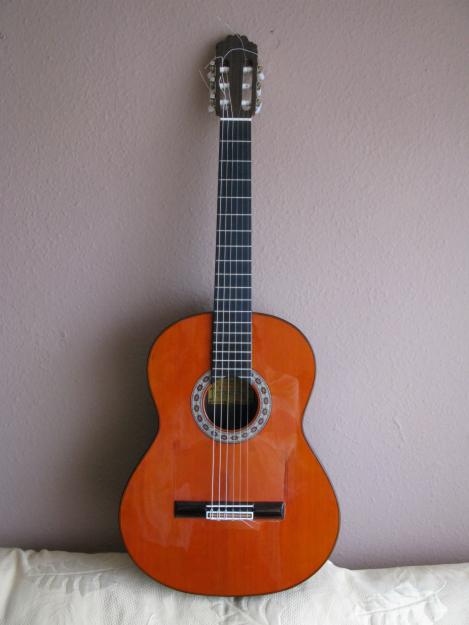 guitarra palopsanto de Rio 1 Extra   clasica concierto ricardo sanchis carpio