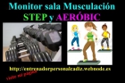 Entrenador personal experto en fitness (perdida peso,tonificación musculación step - mejor precio | unprecio.es