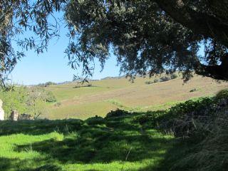 Finca/Casa Rural en venta en Ronda, Málaga (Costa del Sol)