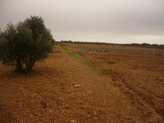 Finca rústica en Tarazona de la Mancha