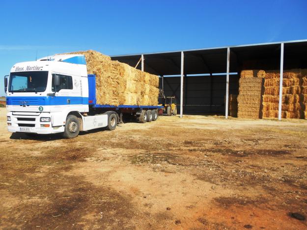 Venta de Paja de Cebada y Forraje de Heno de Avena en paquetes 80x90x250 y 80x40X250 cm