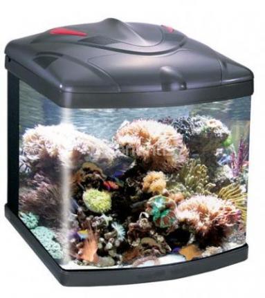 ACUARIO MARINO 58L + MESA