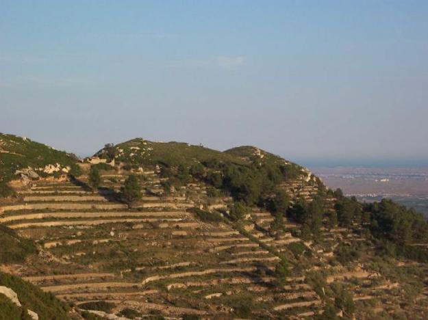 Finca rústica en Tortosa