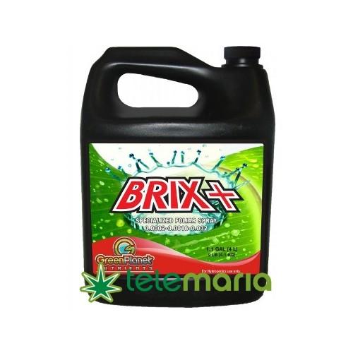 Brix Plus