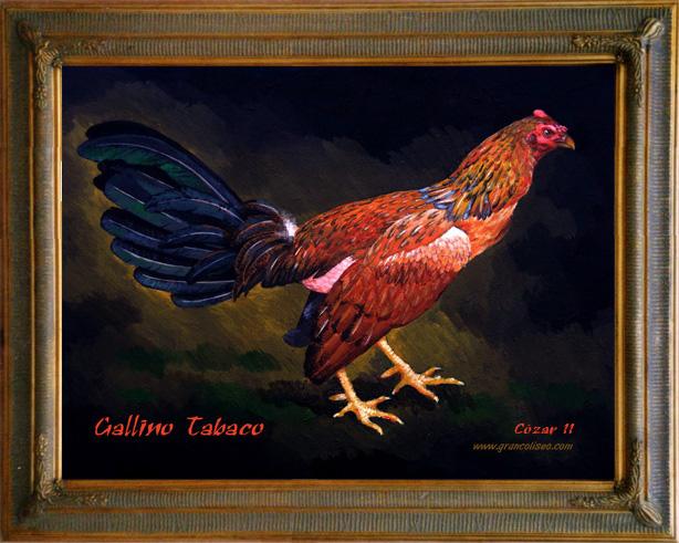 Cuadro Gallo Gallino Tabaco