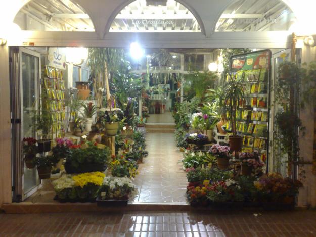 FLORISTERIA LA ORQUIDEA