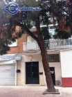 Piso en Fuente el Saz de Jarama - mejor precio | unprecio.es