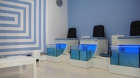 Se traspasa centro FISH SPA muy centrico Castellon de la Plana y moderno. - mejor precio | unprecio.es