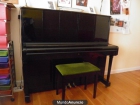 PIANO PETROF - mejor precio | unprecio.es