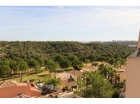 Las ramblas golf resort - Penthouse - Las ramblas golf resort - CG13503 - 3 - mejor precio | unprecio.es