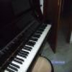 Vendo piano Petrof completamente nuevo - mejor precio | unprecio.es