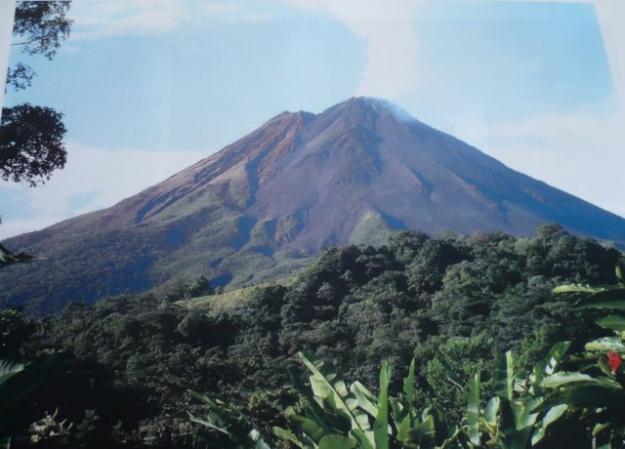 Vendo Preciosa Finca En San Jose Costa Rica