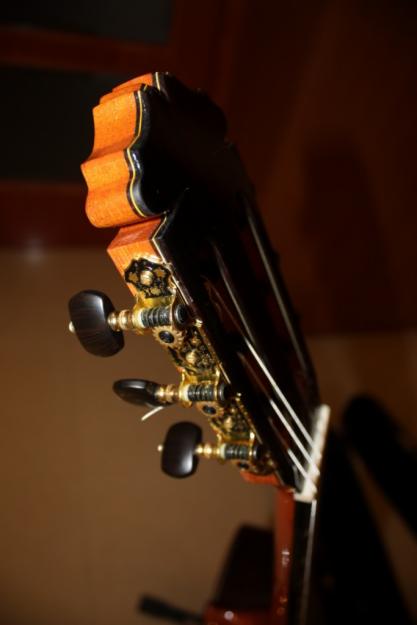 Guitarra flamenca palosanto