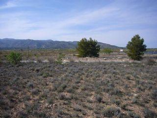 Terreno/Finca Rstica en venta en Jumilla, Murcia (Costa Cálida)