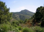 Terreno se vende en Benahavis, Costa del Sol - mejor precio | unprecio.es