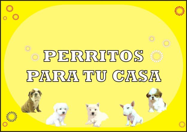 TIENDA Y CRIADERO ESPECIALIZADO DE MASCOTAS