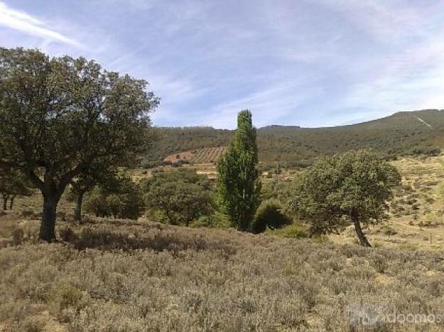 FINCA 25.000m2 en EXTREMADURA  con ENCINAS y EDIFICABLE 13.000€