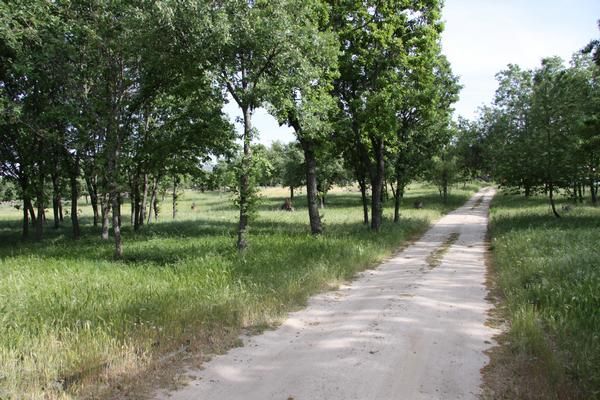 FINCA DE RECREO  DE 18,6 HAS CON MANSION Y VIVIENDA DE INVITADOS EN VALDEMORILLO (MADRID)