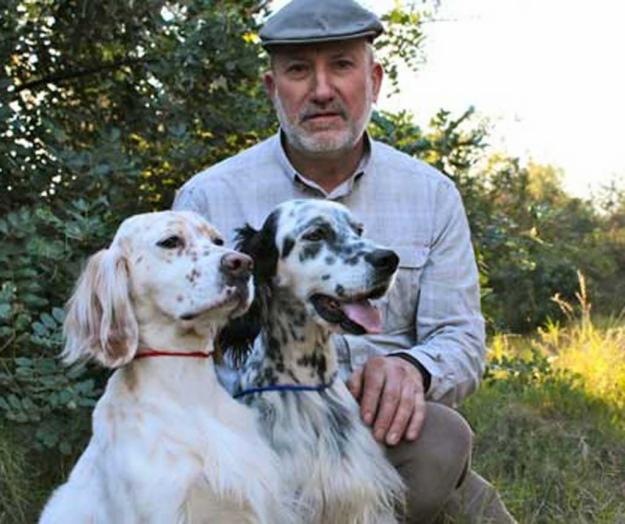 Cachorros Setter Inglés