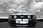 Ford Mustang GT Shelby - mejor precio | unprecio.es