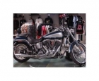 HARLEY DAVIDSON SOFTAIL - mejor precio | unprecio.es