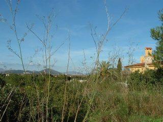 Terreno/Finca Rstica en venta en Santa Margalida, Mallorca (Balearic Islands)