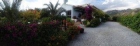 Finca/Casa Rural en alquiler en Frigiliana, Málaga (Costa del Sol) - mejor precio | unprecio.es