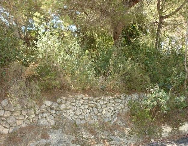 Terreno/Finca Rstica en venta en Moraira, Alicante (Costa Blanca)