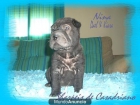 CACHORRA SHAR PEI MINIATURA - mejor precio | unprecio.es