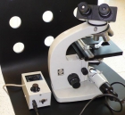 microscopio binocular Wetzlar. - mejor precio | unprecio.es